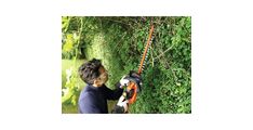 AKU ŠKARJE ZA ŽIVO MEJO 36V 1 x 2.5Ah Li-ion55 CM DOLŽINA REZILA Black&Decker GTC365525PC