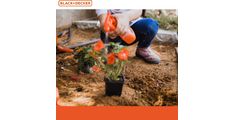 OTROŠKI SET ZA VRTNARJENJE 3+PREDPASNIK, ROKAVICE, GRABLJICE, PRŠILKA Black&Decker SGH020-04-BD
