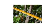 ŠKARJE ZA ŽIVO MEJO 54V 31MM BARE Dewalt DCMHT573N