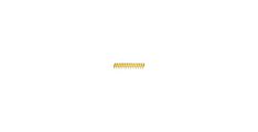 ŽEBLJI 2,6 X 40MM  1005KOM; DCN890  Dewalt DCN8901040