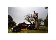 aku-kosilnica-2x18v-80ah-dewalt-dcmwp134w2_5035048832653_main.jpg