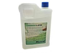 detergent-za-odstranjevanje-mahu-in-plesni-2l-lavorwash-00100044_8013298013159_main.jpg