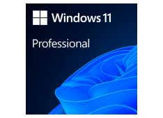 microsoft-windows-professional-11-64-bit-all-languages-online-product-key-license-1-license-downloadable-esd-nr_main.jpg