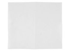 Univerzalni mikro filter Electrolux EF2 Univerzalni mikro filter Electrolux EF2
