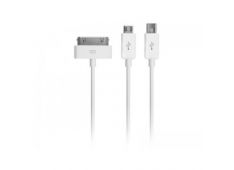 USB 220V/1A in avto-polnilec 12V/2,1A, 3V1 - mini, mikro, apple 30-pin