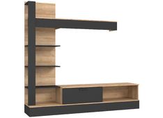 wall-unit-geluza-oak-black-glzm02l-m818-205x415x192-hrast--crna_5904767846510_main.jpg